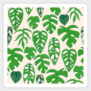 Monstera Species Pattern in Gouache Sticker